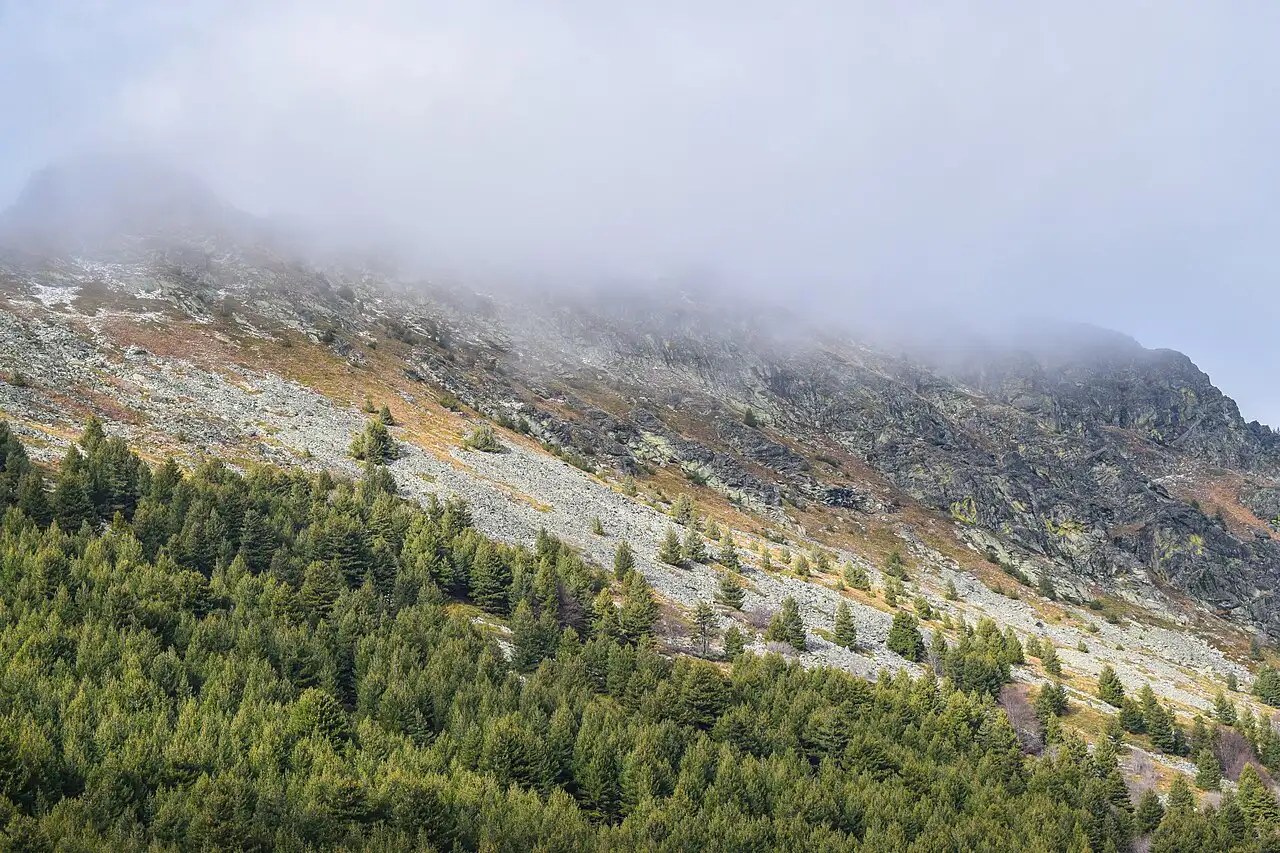 Autumn woodland in Macedonia